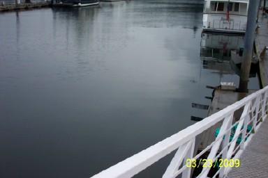 100_0613.jpg