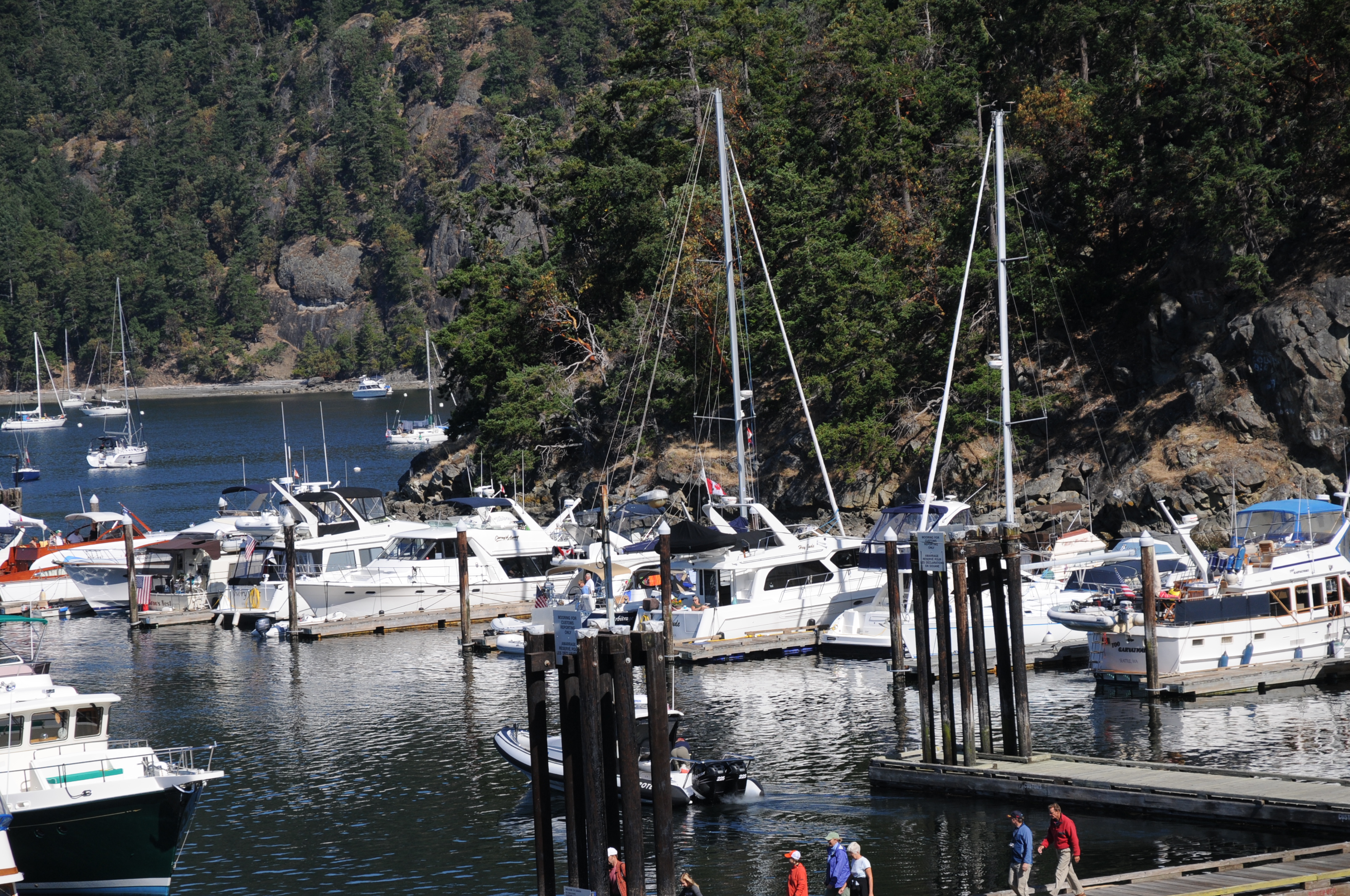 DSC_0741.JPG