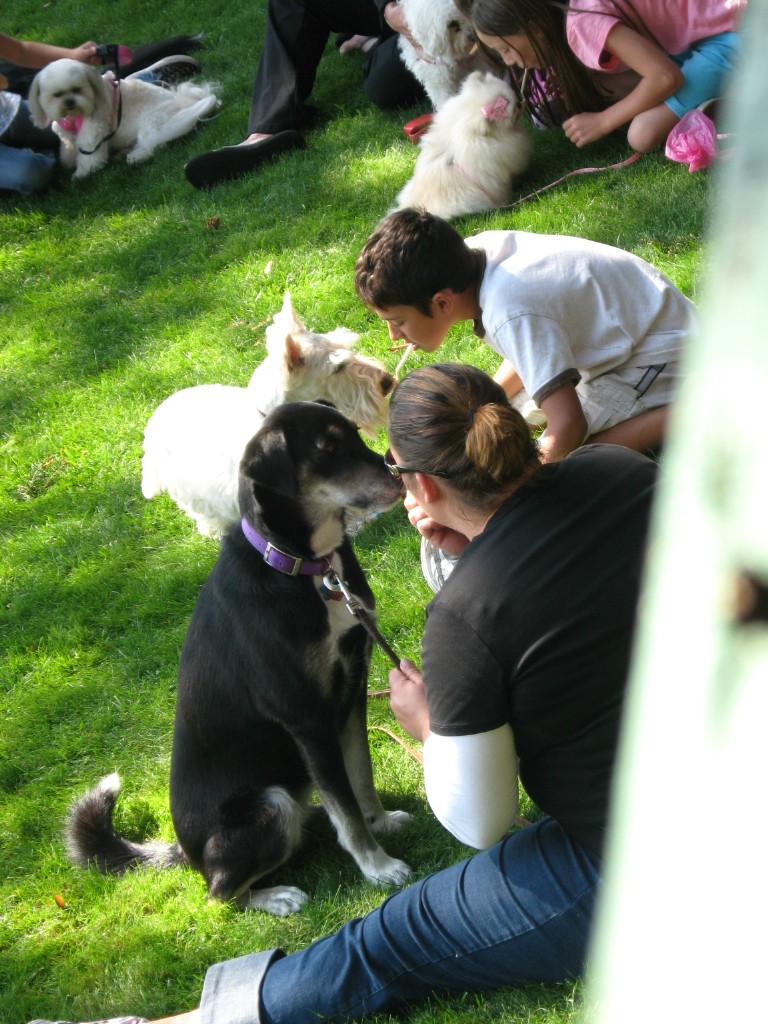 IMG_0767.jpg