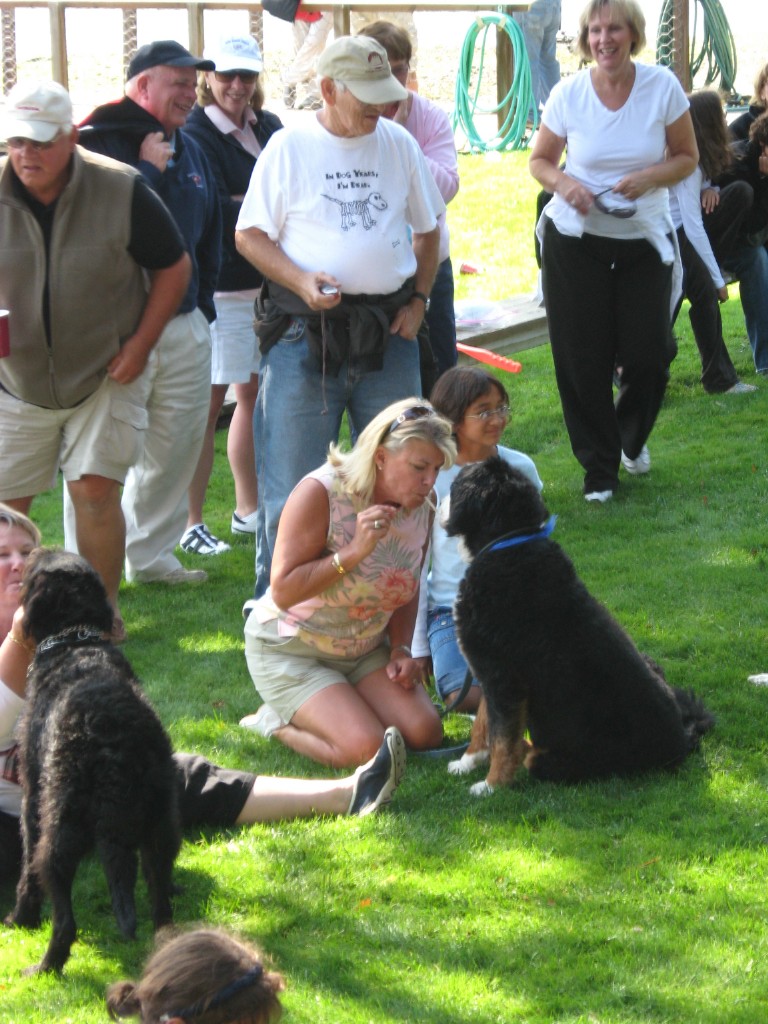 IMG_0768.jpg
