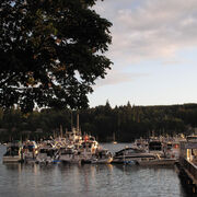 IMG_0483.JPG